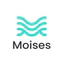 Moises Ai Logo